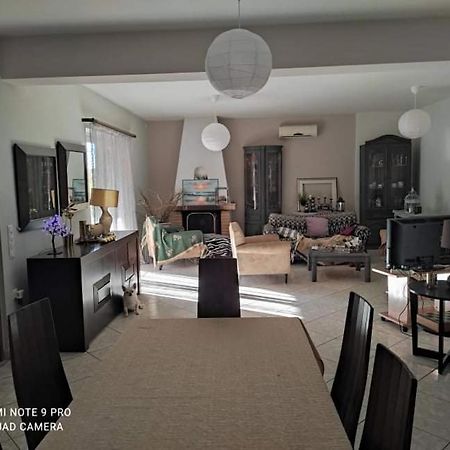 Pleasant House With Garden!! Villa Anavyssos Ngoại thất bức ảnh